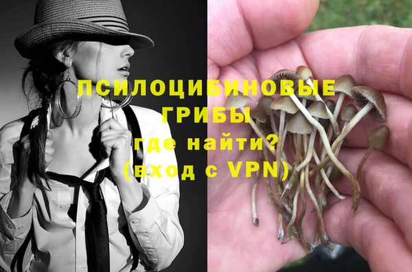 дмт Кулебаки