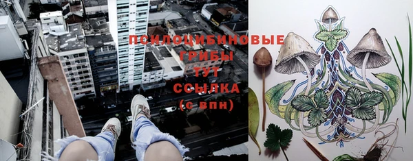 МДПВ Кукмор