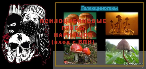 МДПВ Кукмор