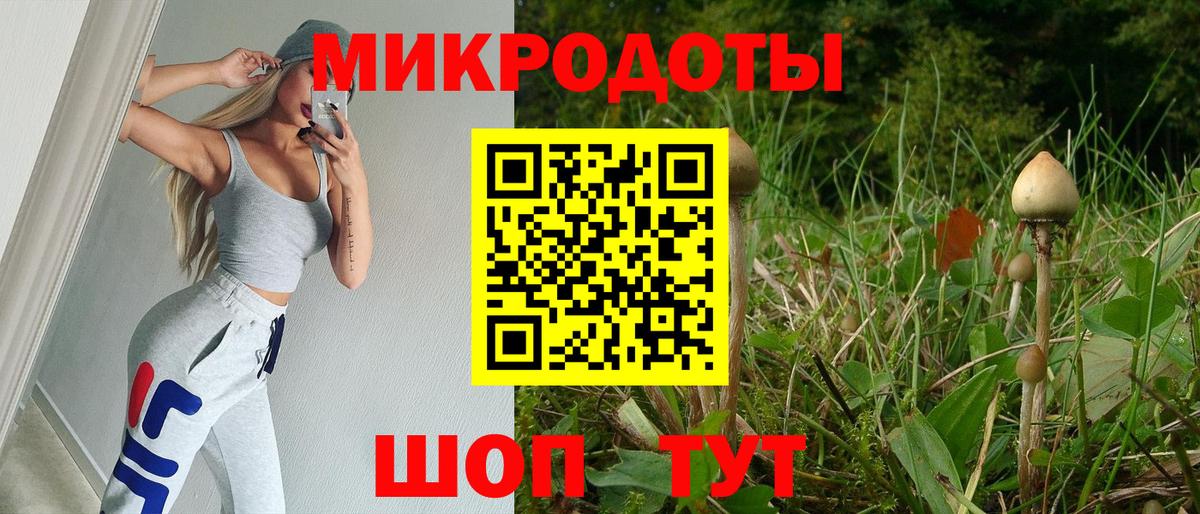 Псилоцибиновые грибы мицелий  Брянск 